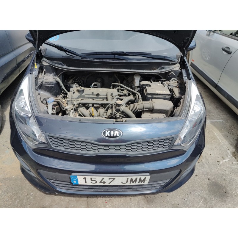 Recambio de radiador aire acondicionado para kia rio iii (ub) 1.2 cvvt referencia OEM IAM   