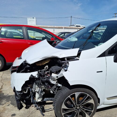 DEPOSITO EXPANSION RENAULT SCENIC III (JZ0/1_) 1.6 DCI (JZ00 JZ12)