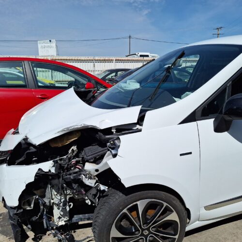 DEPOSITO LIMPIA RENAULT SCENIC III (JZ0/1_) 1.6 DCI (JZ00 JZ12)