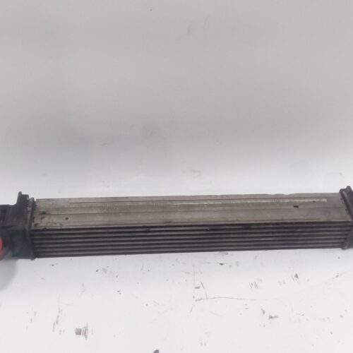 INTERCOOLER RENAULT SCÉNIC III (JZ0/1_) 1.5 DCI - 144961285R