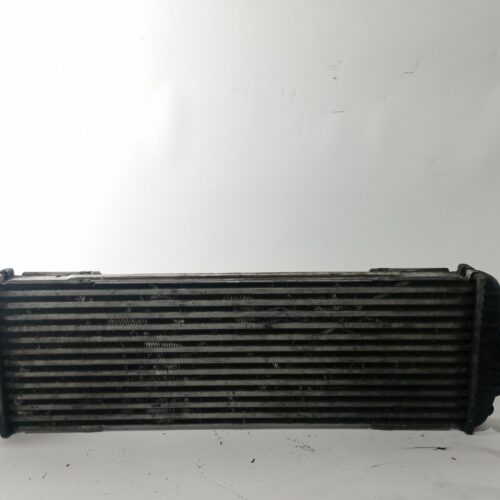 INTERCOOLER RENAULT TRAFIC II AUTOBÚS (JL) 1.9 DCI 100 (JL0C) - 7700312903