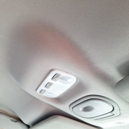 LUZ INTERIOR RENAULT SCENIC III (JZ0/1_) 1.6 DCI (JZ00 JZ12)