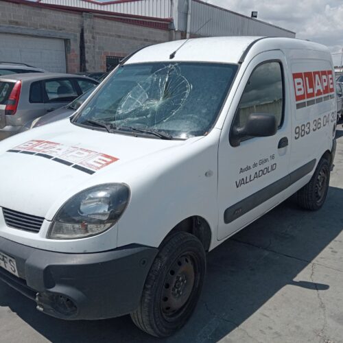 RENAULT KANGOO (KC0/1_) 1.9 DCI 4X4