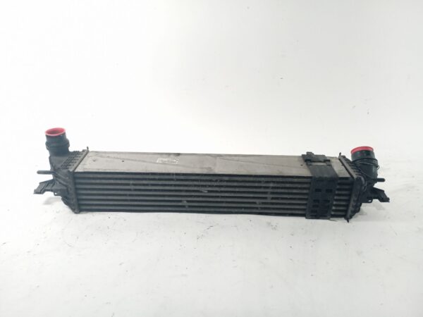 intercooler_144960001r_m4925005_renault_laguna_iii_bt0_1_bt07_bt0j_bt14_bt1a