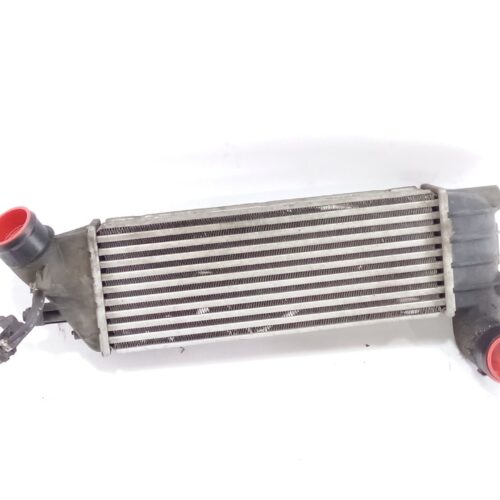 INTERCOOLER CITROËN C8 (EA_ EB_) 2.2 HDI - 0384G0